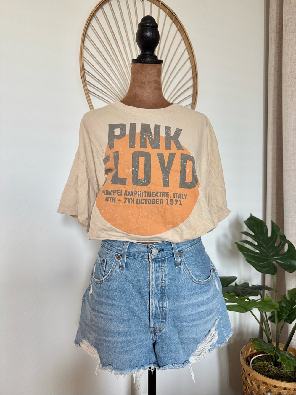 Pink Floyd Cropped Graphic Tee